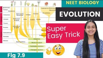 Easy TRICKS to Learn EVOLUTION of Plants | Fig. 7.9 | NEET Biology